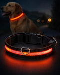 LED Safety Collar for Dogs MUPPO™